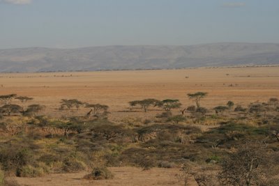 southern Serengeti