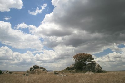 Masai Kopjes