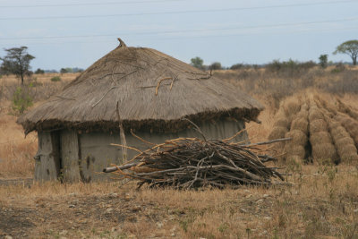 Masai house with thatch, road to Ngorongoro Highlands