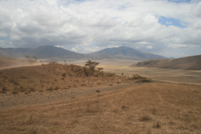Ngorongoro Conservation Area to Serengeti