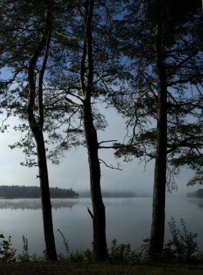 Ashley Reservoir