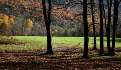 Easthampton, Mass.