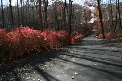 Mittineague Park