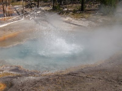 Another large geyser and mudpot area in Yellostone
