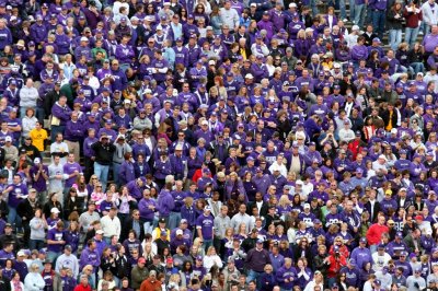 A sea of purple.