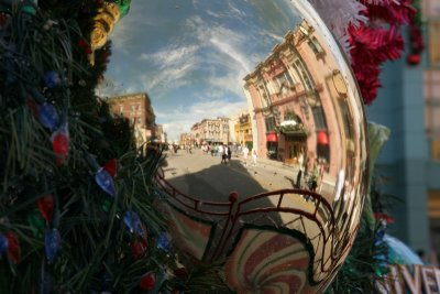 Reflected Street