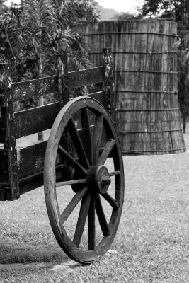 Apple(ton) Cart