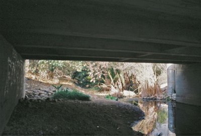 Under the bridge where we used to wade