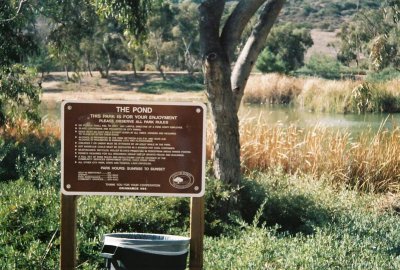 Rabbit pond