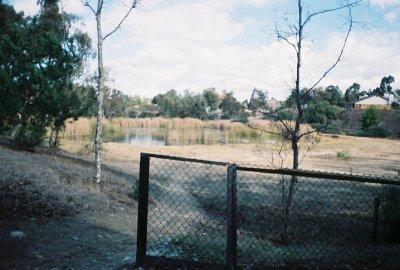 Pond again