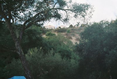 Looking up the hill