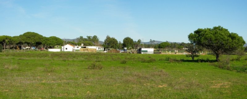 Algarve countryside in late Autumn