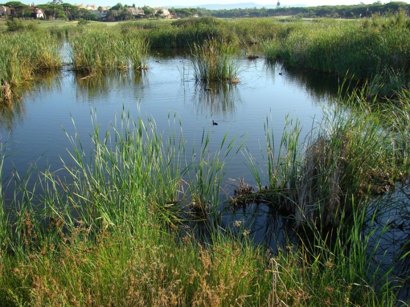 Lake by the morning... Quinta do Lago