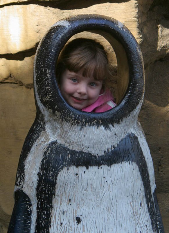 Cute penguin