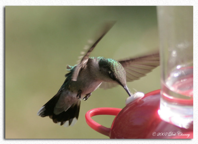 hummer 7-22
