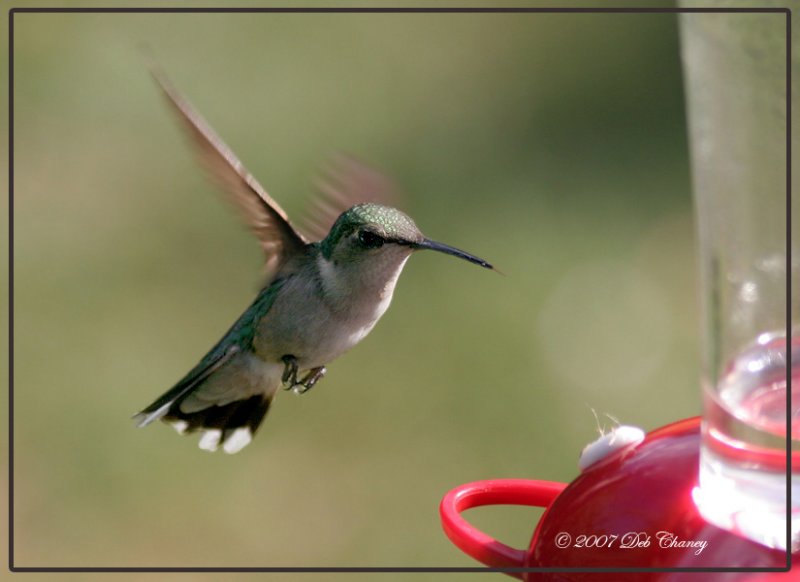 hummer 7-22
