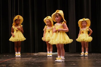 Daisy dancers (or standers)