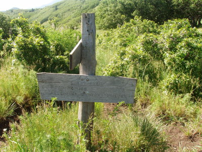 crest trail post 2.JPG