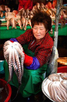 Squid seller.jpg