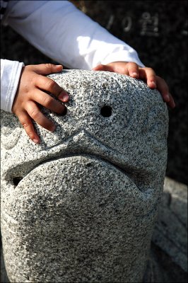 Eye of the Turtle.jpg