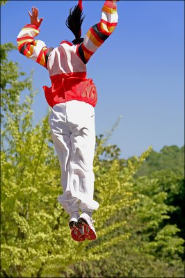 High flyer.jpg