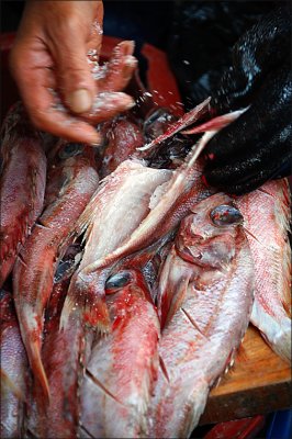 Salting fish.jpg