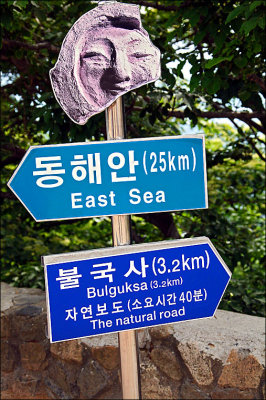 To the Sea.jpg