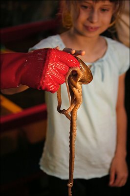 A kid and a squid .jpg