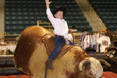 Ride'em cowboy