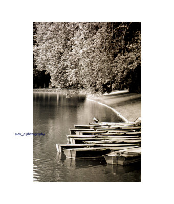 File0001 - 1 copy.jpg