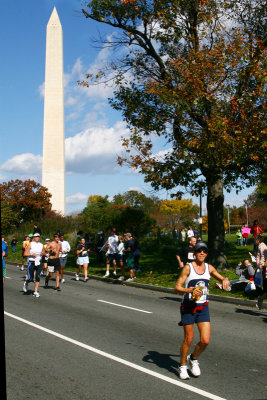 Tidal Basin