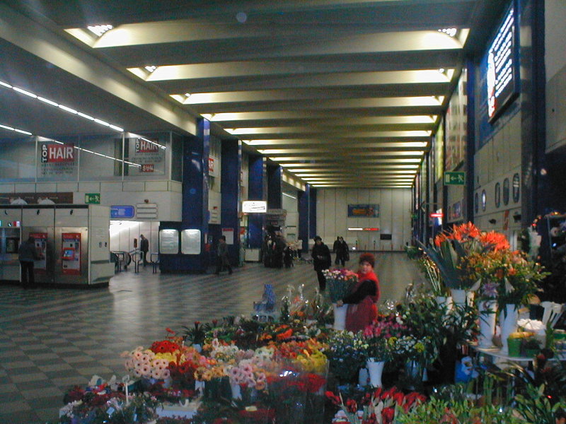 Upstairs at the Cat Train Station