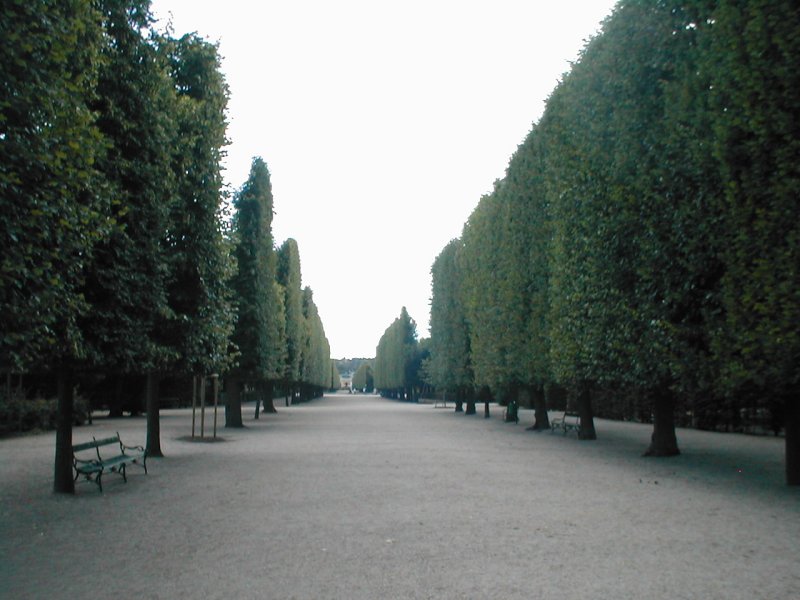 june 27ba 062.jpg