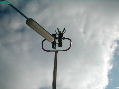 prater 042.jpg