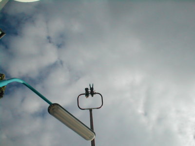 prater 043.jpg