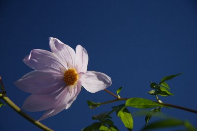 IMG_1214.JPG