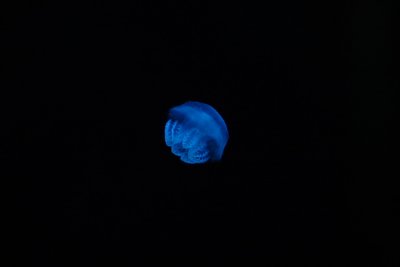 IMG_2136.JPG