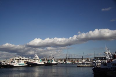 IMG_2251.JPG