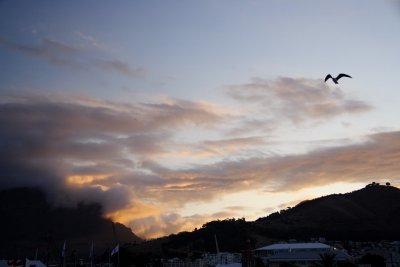 IMG_2330_1.JPG
