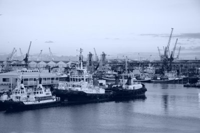 IMG_2349.JPG