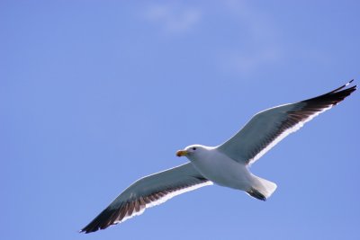 IMG_2492_1.JPG