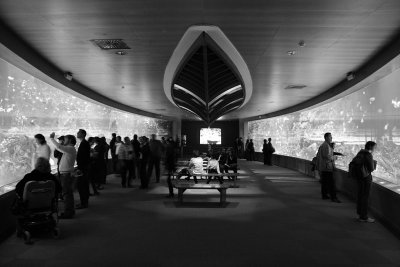 IMG_2798.JPG