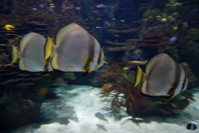 IMG_2805.JPG