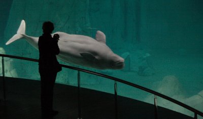 IMG_2842.JPG