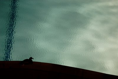 IMG_3135.JPG