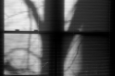 11-22-06 : Shadows on mini-blinds