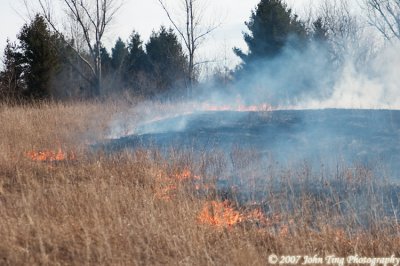 0030.jpg - Controlled burning of dead weeds