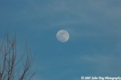 1002.jpg - Full Moon