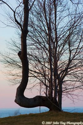 1005.jpg - Dusk... waiting for woodcocks to show...