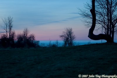 1009.jpg - Dusk... waiting for woodcocks to show...